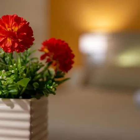 Guest house Terra Di Venere *