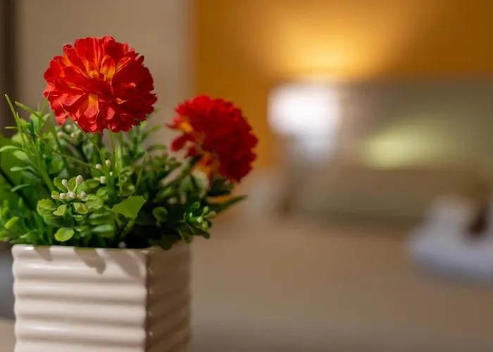 Gæstehus Terra Di Venere 3*